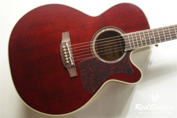 DMP551C - WR (S/N58100764)